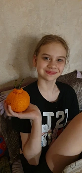 Павлова София