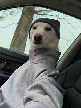 Степан Кириллов