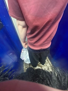 ммиоол