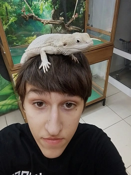 Матвей Захаров