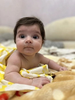 Хаддад Виктория Самировна