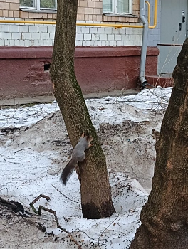 Абрамов Вит Адамович