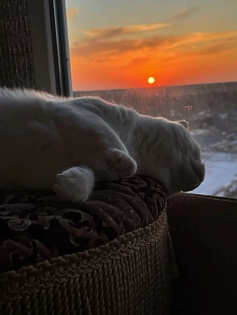 Дмитрий Миронов