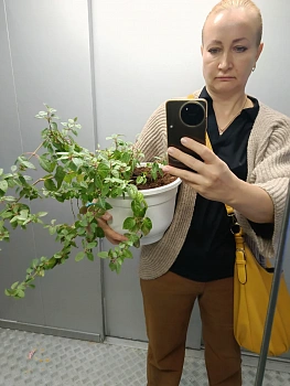 Елена Александровна Скоробогатова