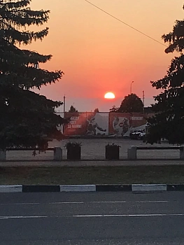 Инга Василькова 