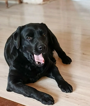 Сапожников Станислав