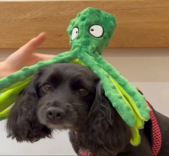 Кубич Иван Сергеевич